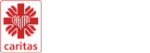 Logo zaz - Rękodzieło artystyczne, sklep internetowy caritas kielce
